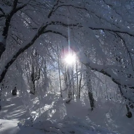 Stara Planina Vesela Kuca Jalovik Izvor