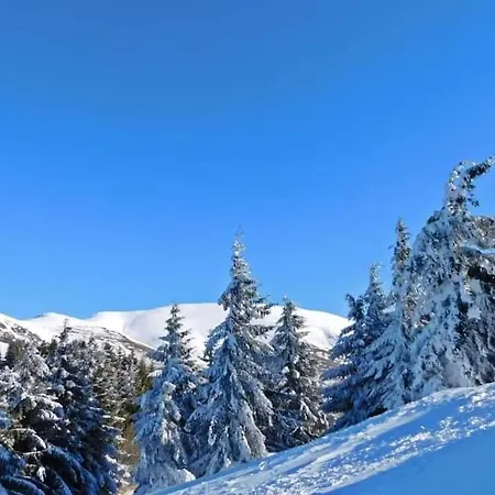 Affittacamere Stara Planina Vesela Kuca