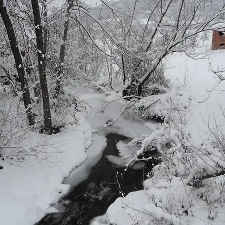 Stara Planina Vesela Kuca Guest house Jalovik Izvor