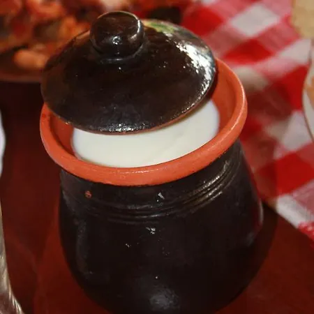 Stara Planina Vesela Kuca